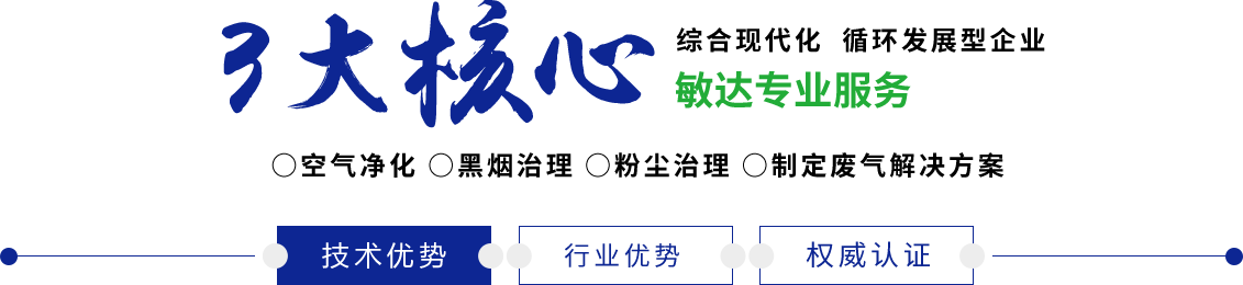 美女扣逼流水流浆敏达环保科技（嘉兴）有限公司